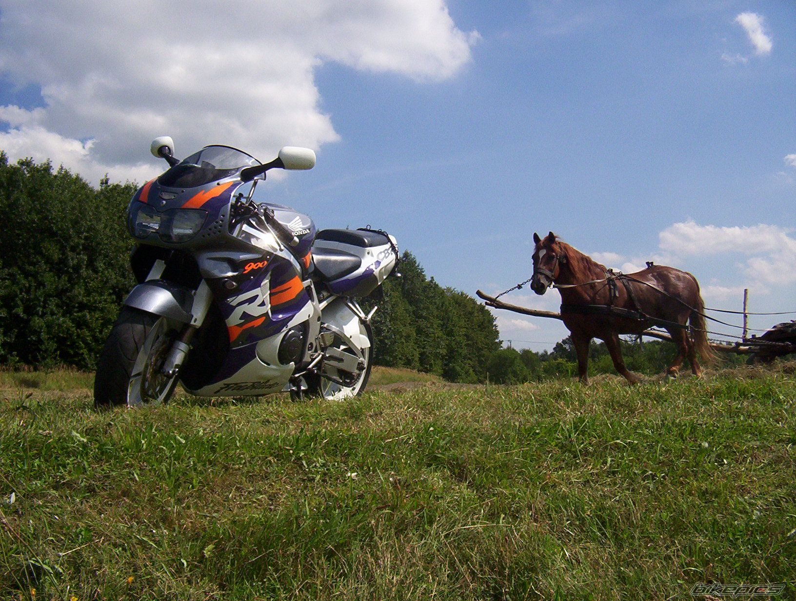 1997 HONDA CBR 900 | Picture 2175723 motorcycle photo