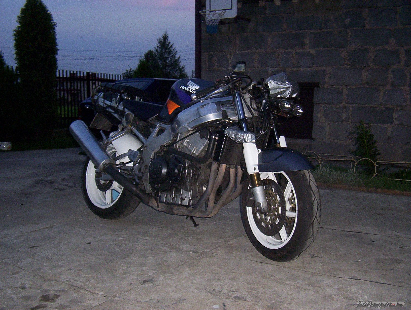 1997 HONDA CBR 900 | Picture 2175727 motorcycle photo