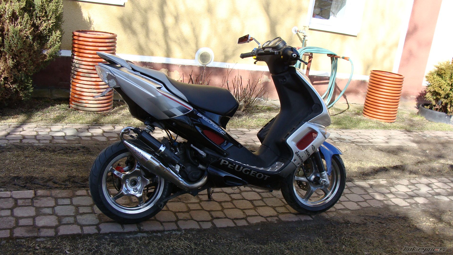 2003 PEUGEOT SPEEDFIGHT2 50 | Picture 2175731 motorcycle photo