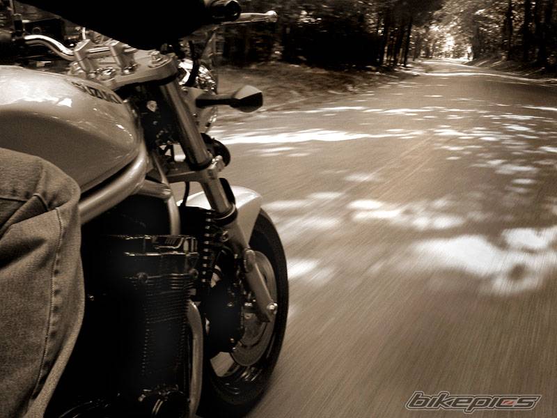 2003 SUZUKI BANDIT 1200 | Picture 217601 motorcycle photo