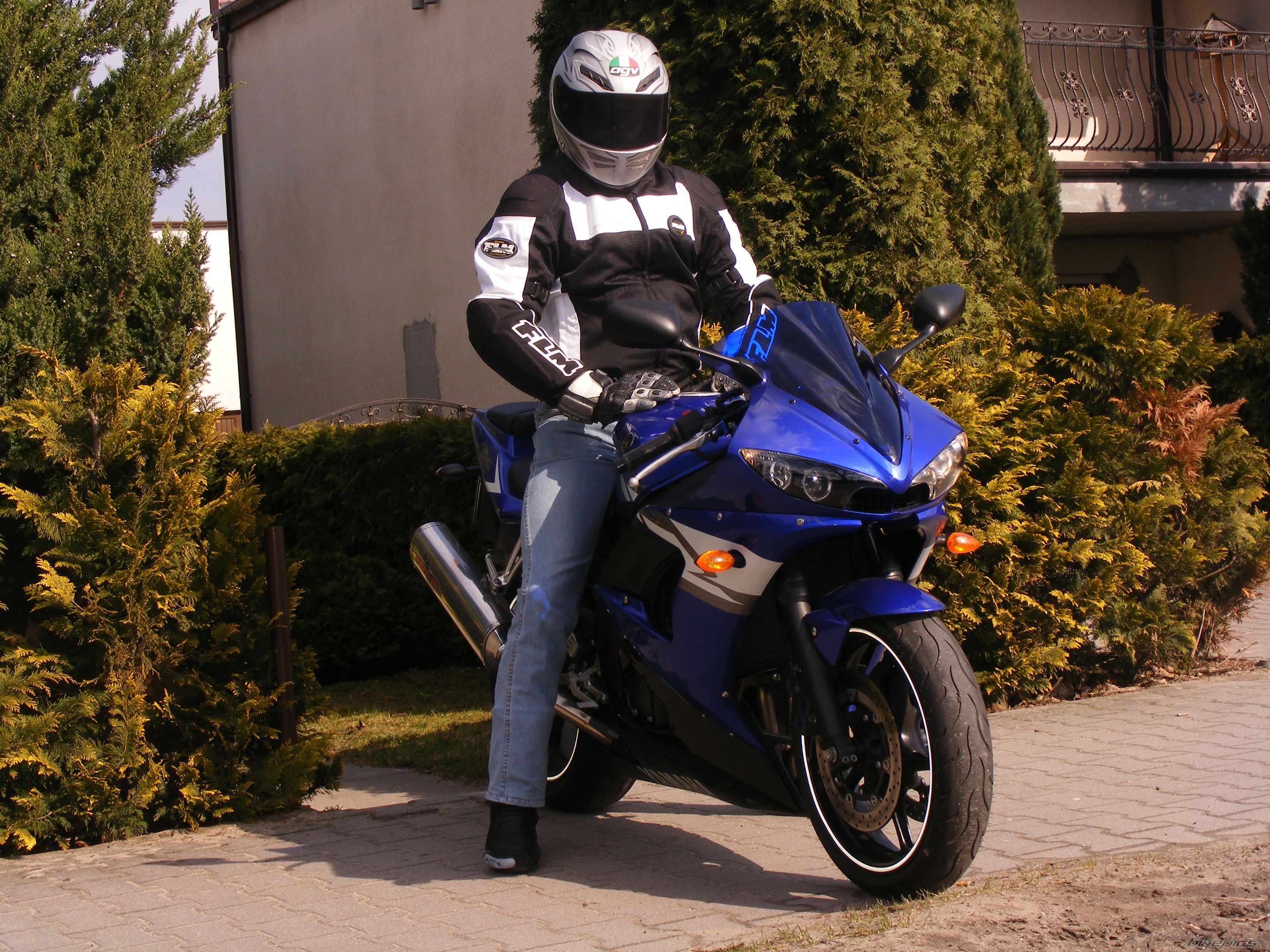 2004 YAMAHA YZF R6 | Picture 2176451 motorcycle photo