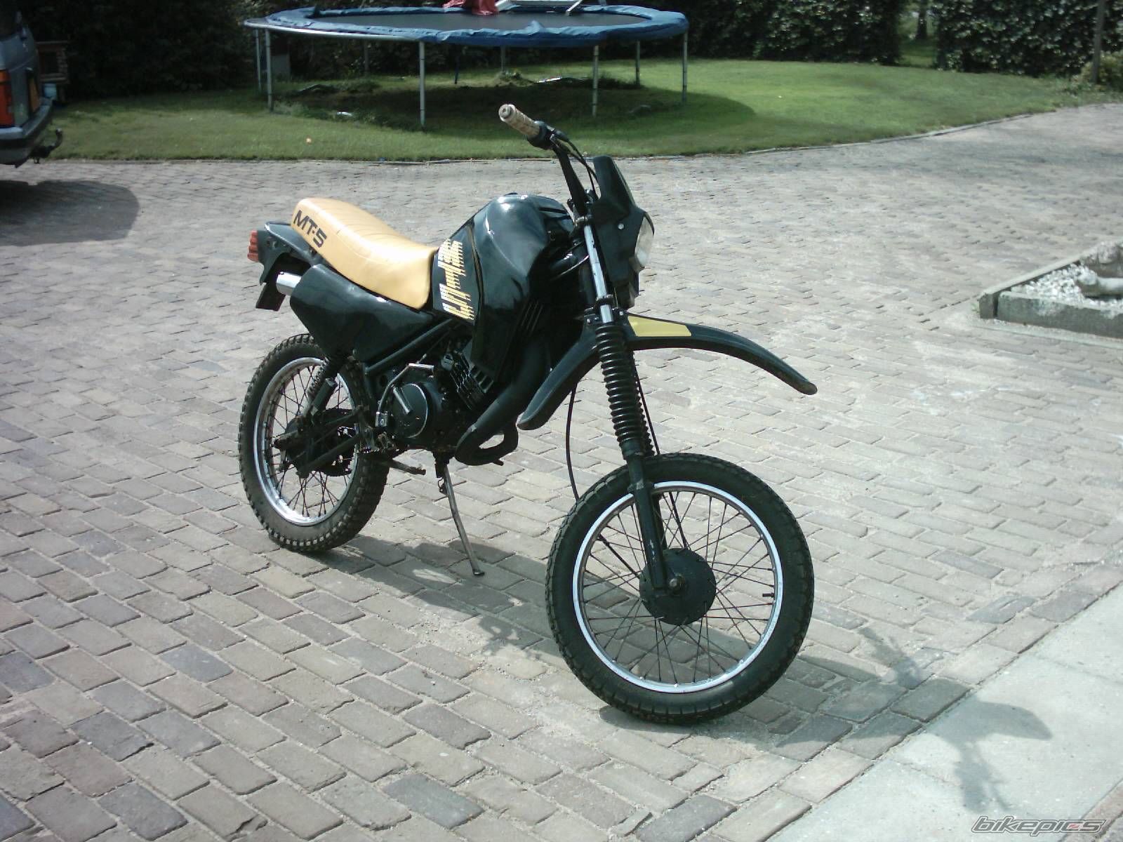 1987 HONDA MT5 | Picture 217651 motorcycle photo