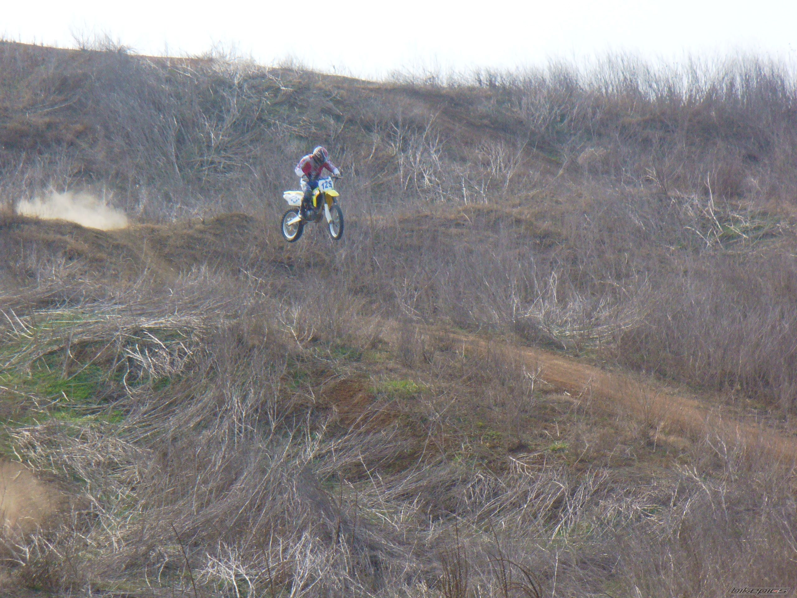 2006 SUZUKI RM 450Z | Picture 2176612 motorcycle photo