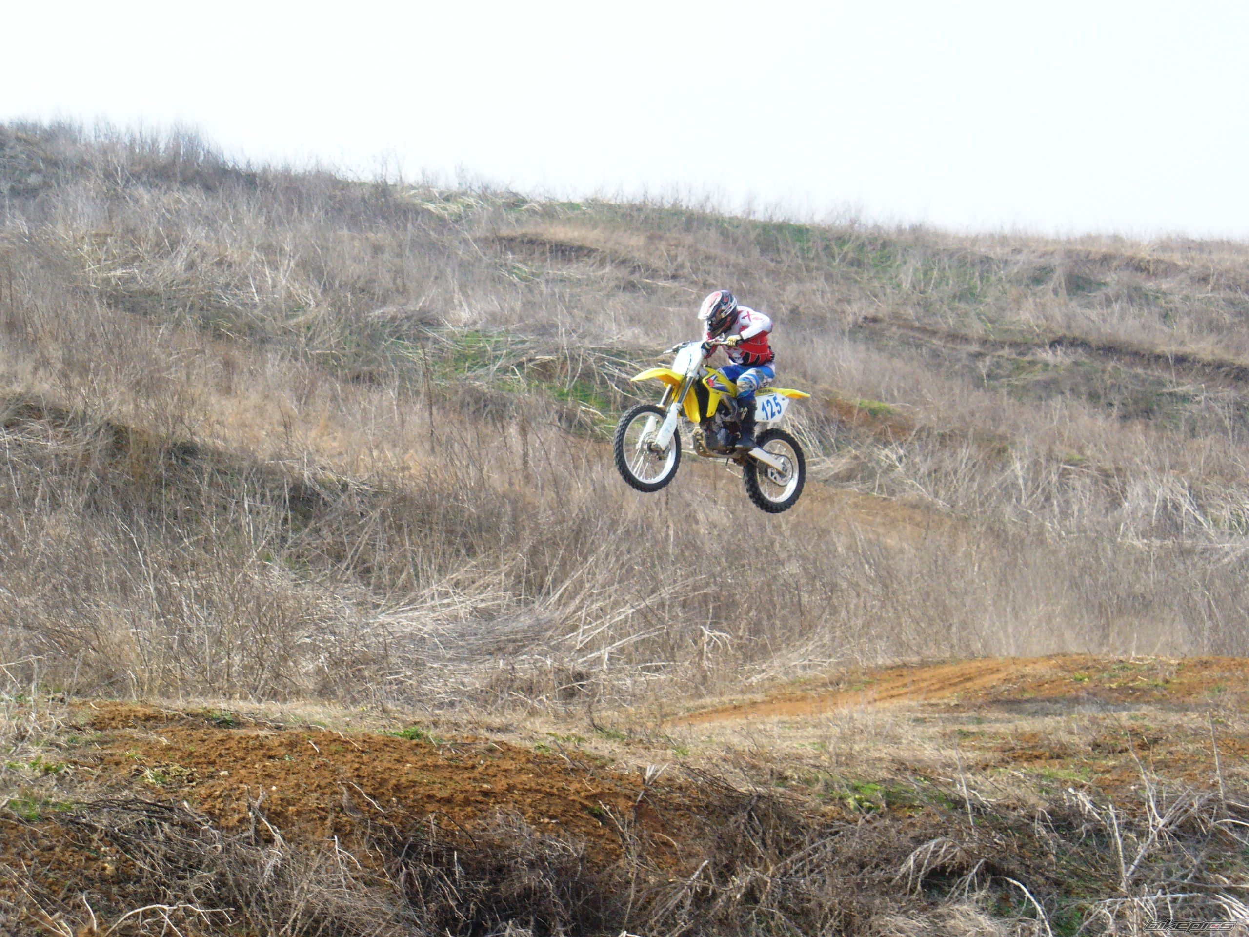 2006 SUZUKI RM 450Z | Picture 2176616 motorcycle photo