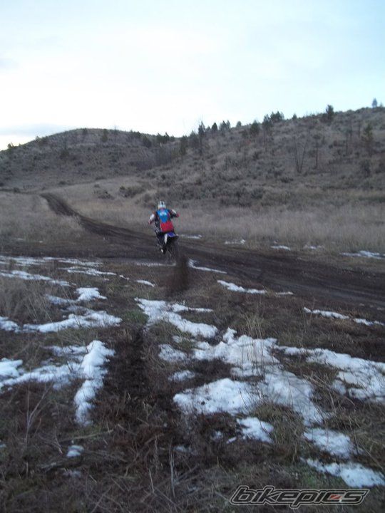 2001 YAMAHA YZ 426F | Picture 2178236 motorcycle photo
