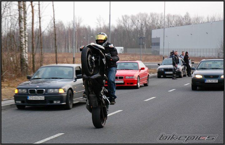 2008 SUZUKI GSX R 750 | Picture 2178434 motorcycle photo