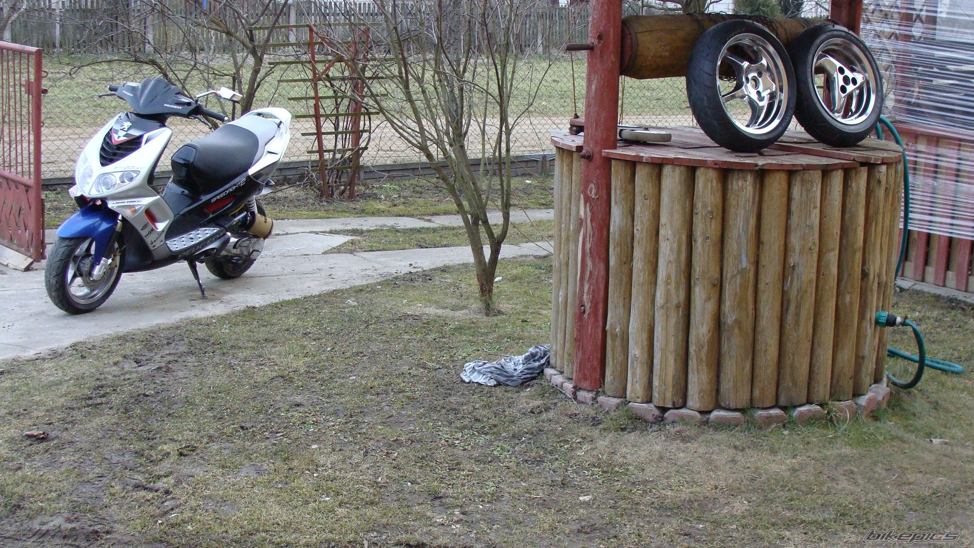 2003 PEUGEOT SPEEDFIGHT2 50 | Picture 2178604 motorcycle photo
