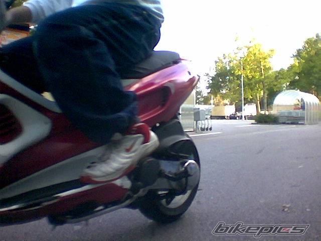 1996 PIAGGIO ZIP | Picture 217903 motorcycle photo