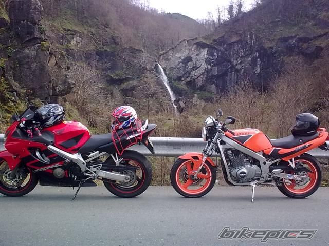 2006 HONDA CBR 600 | Picture 2179122 motorcycle photo