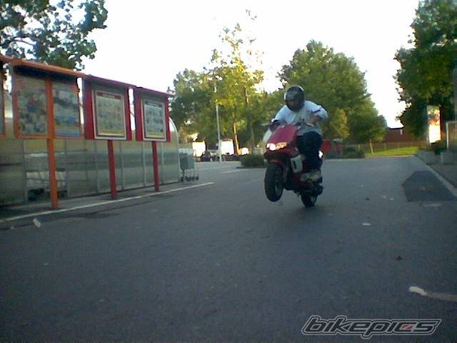 1996 PIAGGIO ZIP | Picture 217913 motorcycle photo