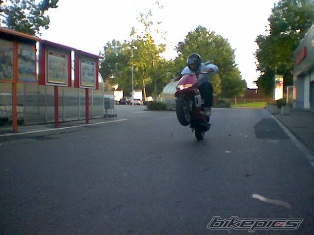 1996 PIAGGIO ZIP | Picture 217914 motorcycle photo