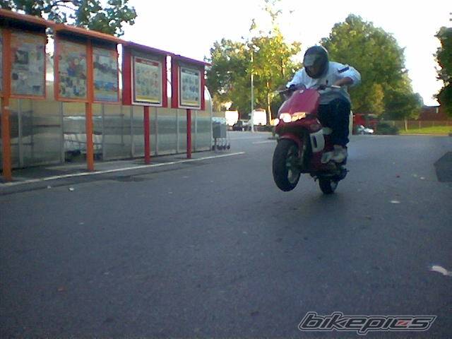 1996 PIAGGIO ZIP | Picture 217917 motorcycle photo