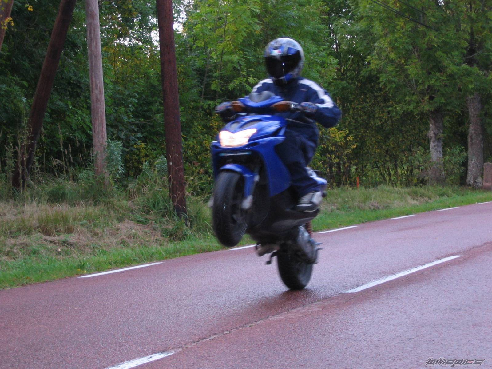2004 YAMAHA AEROX 50 | Picture 217930 motorcycle photo