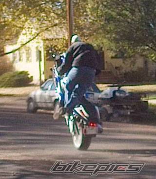 2001 SUZUKI GSX R 1000 | Picture 21795 motorcycle photo