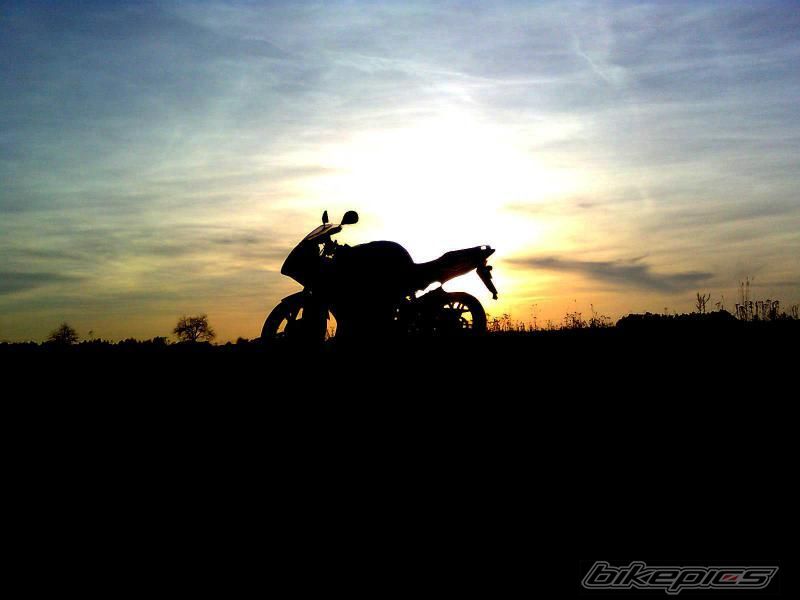 2007 YAMAHA TZR 50 | Picture 2179692 motorcycle photo
