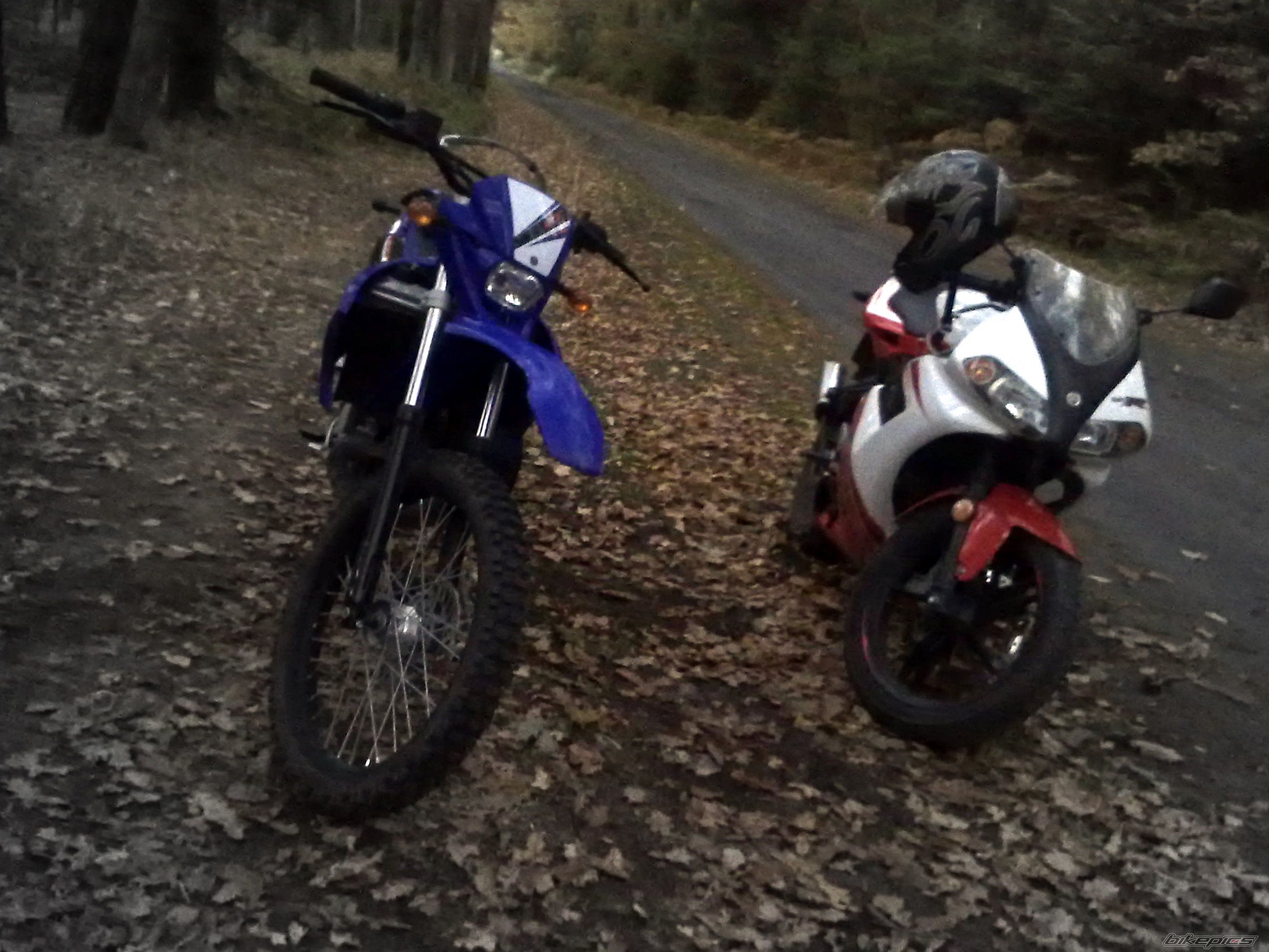 2007 YAMAHA TZR 50 | Picture 2179700 motorcycle photo
