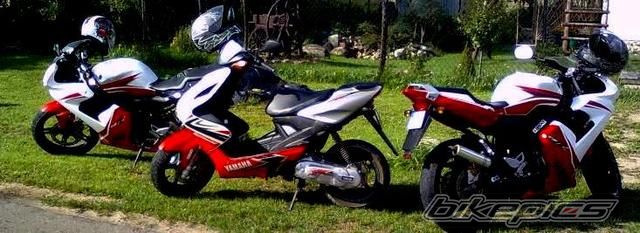 2007 YAMAHA TZR 50 | Picture 2179702 motorcycle photo