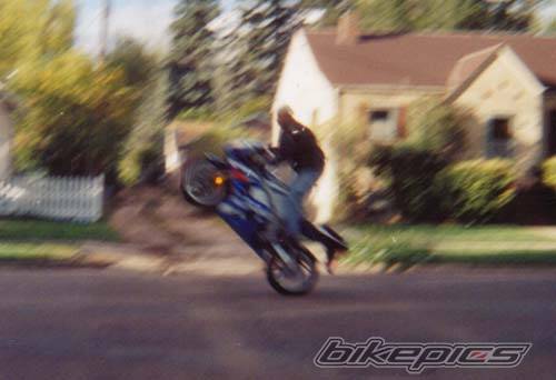2001 SUZUKI GSX R 1000 | Picture 21798 motorcycle photo