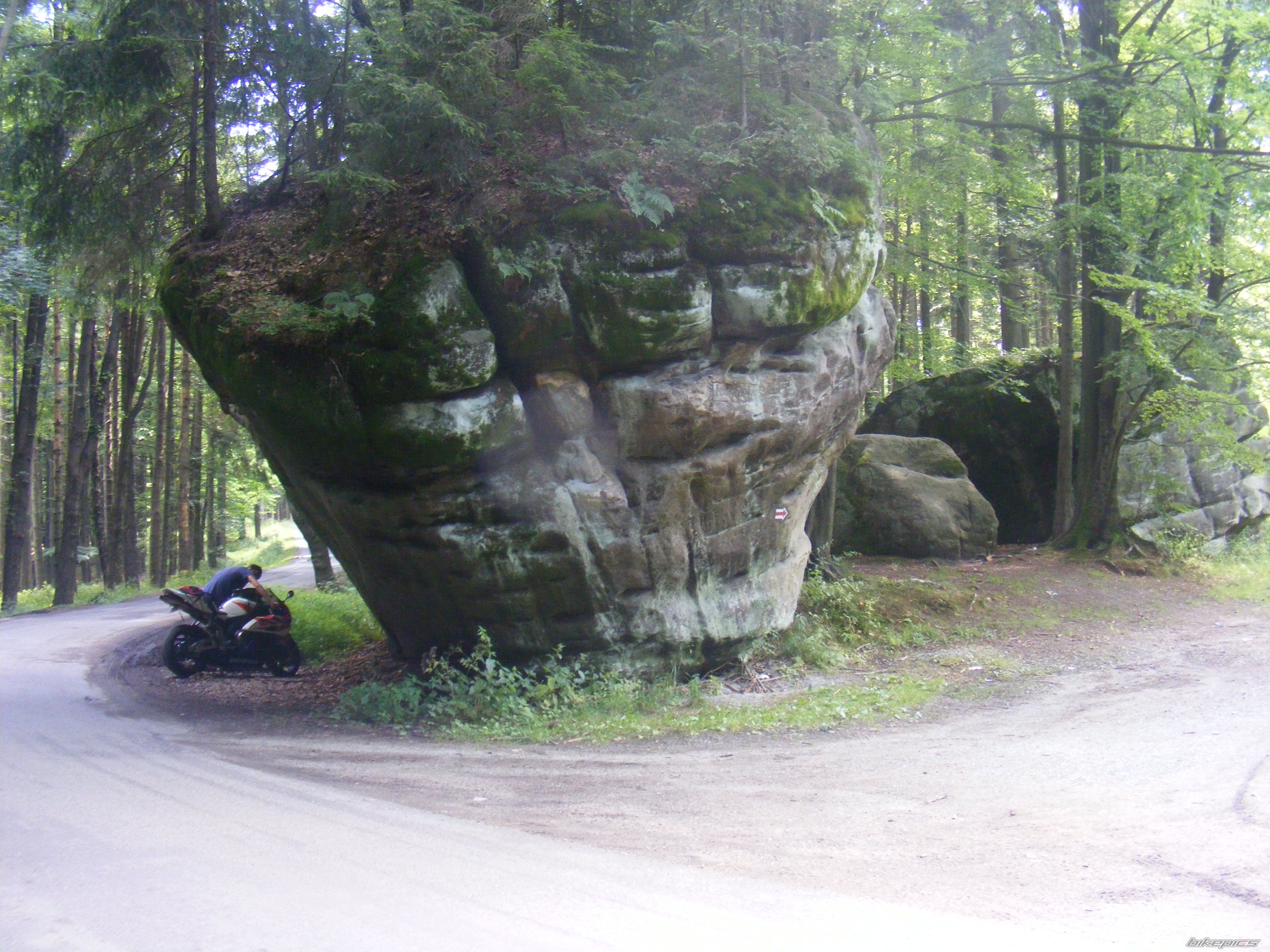 2004 HONDA CBR 1000  RR | Picture 2180018 motorcycle photo