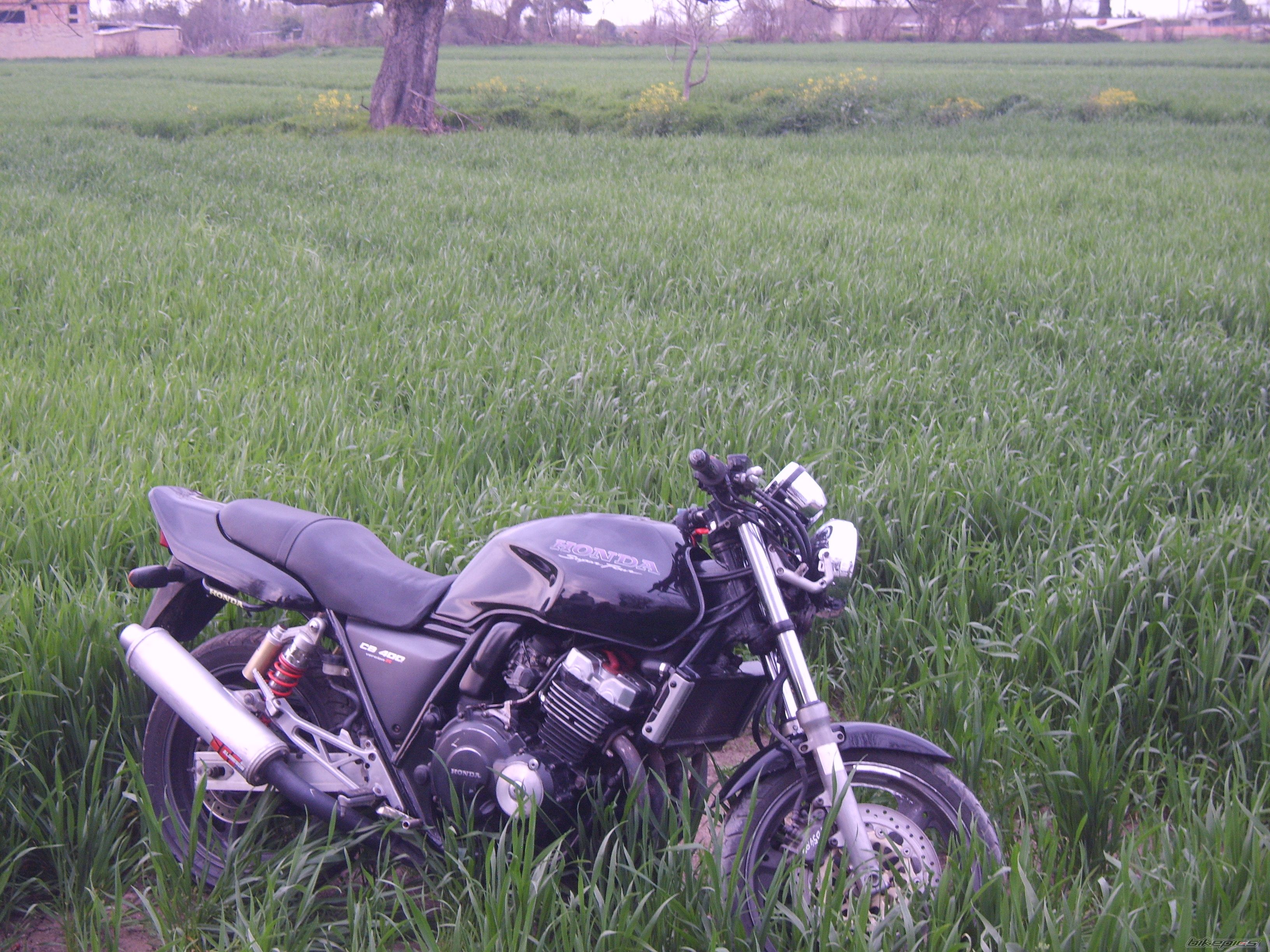 1996 HONDA CB 400 | Picture 2180023 motorcycle photo
