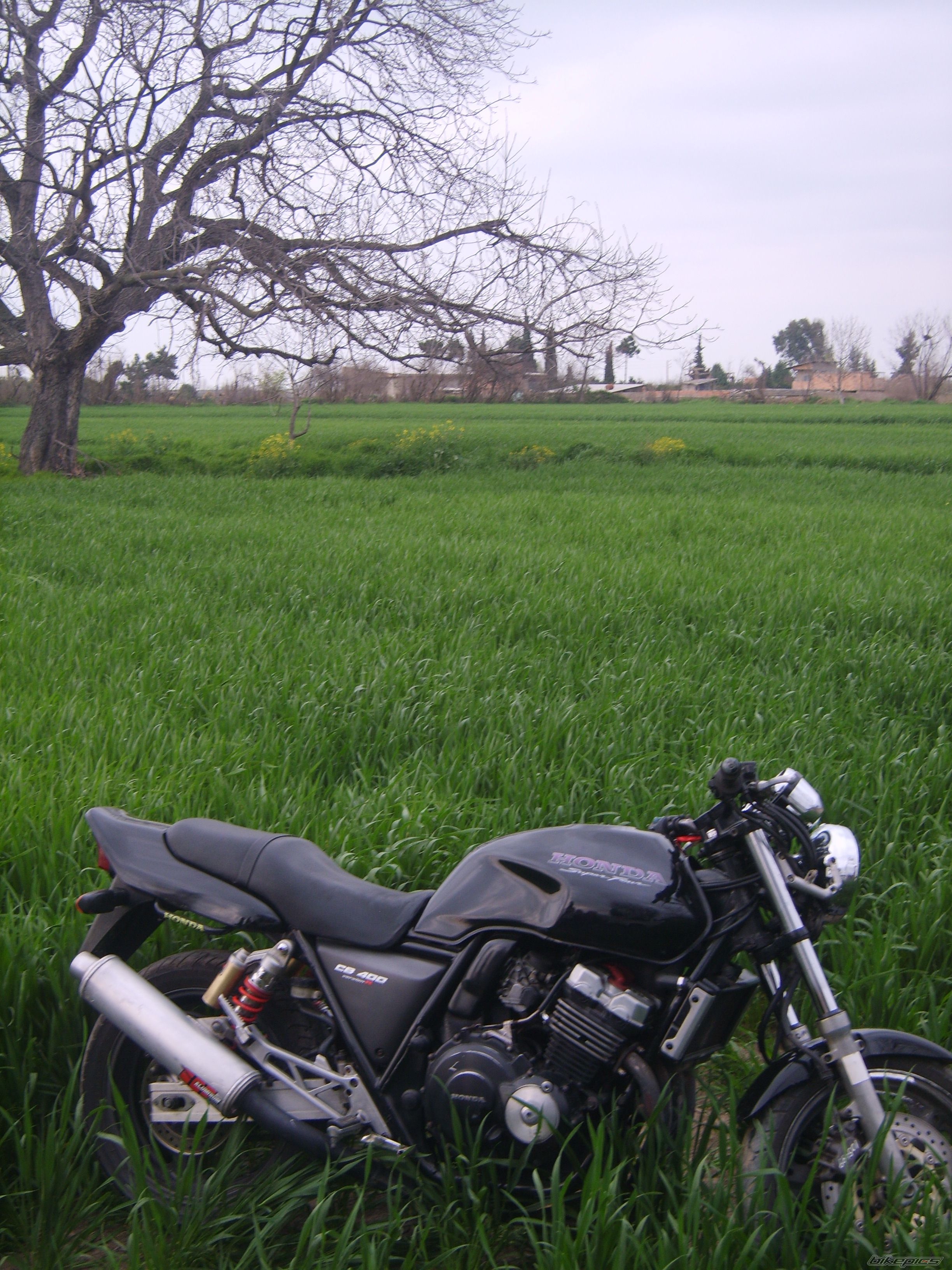 1996 HONDA CB 400 | Picture 2180028 motorcycle photo