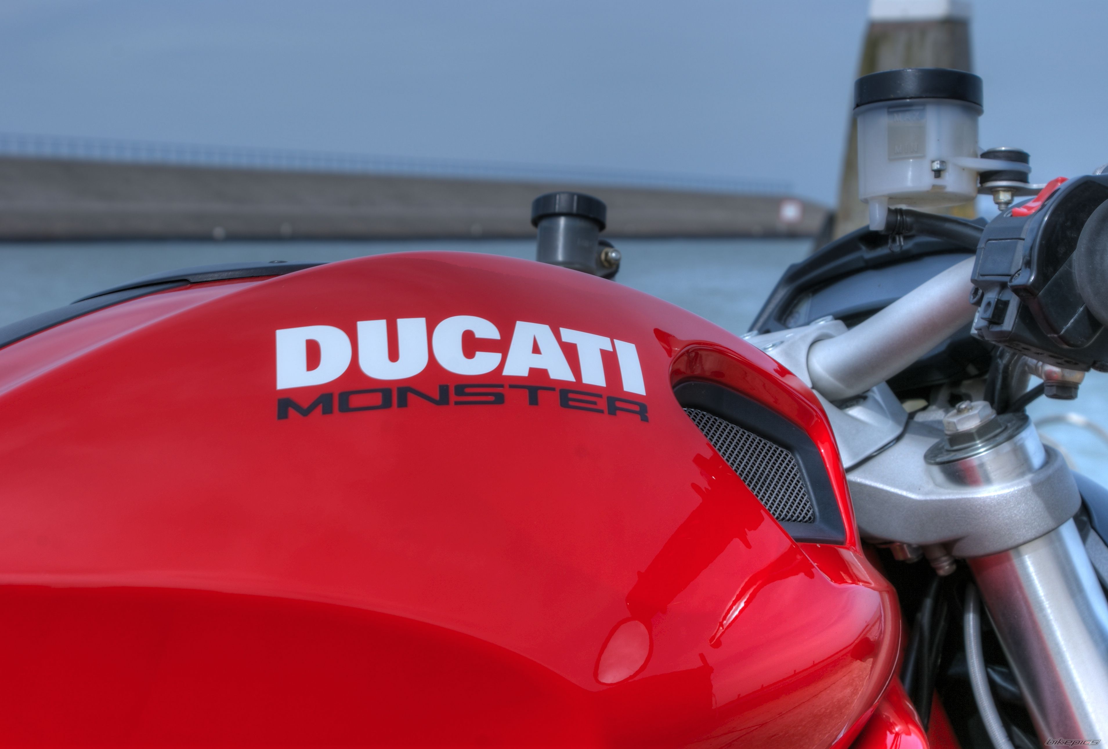 2009 DUCATI MONSTER 1100 | Picture 2180051 motorcycle photo