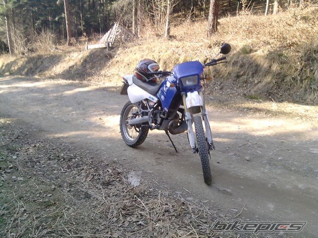 1999 DERBI SENDA R 50 | Picture 2181479 motorcycle photo