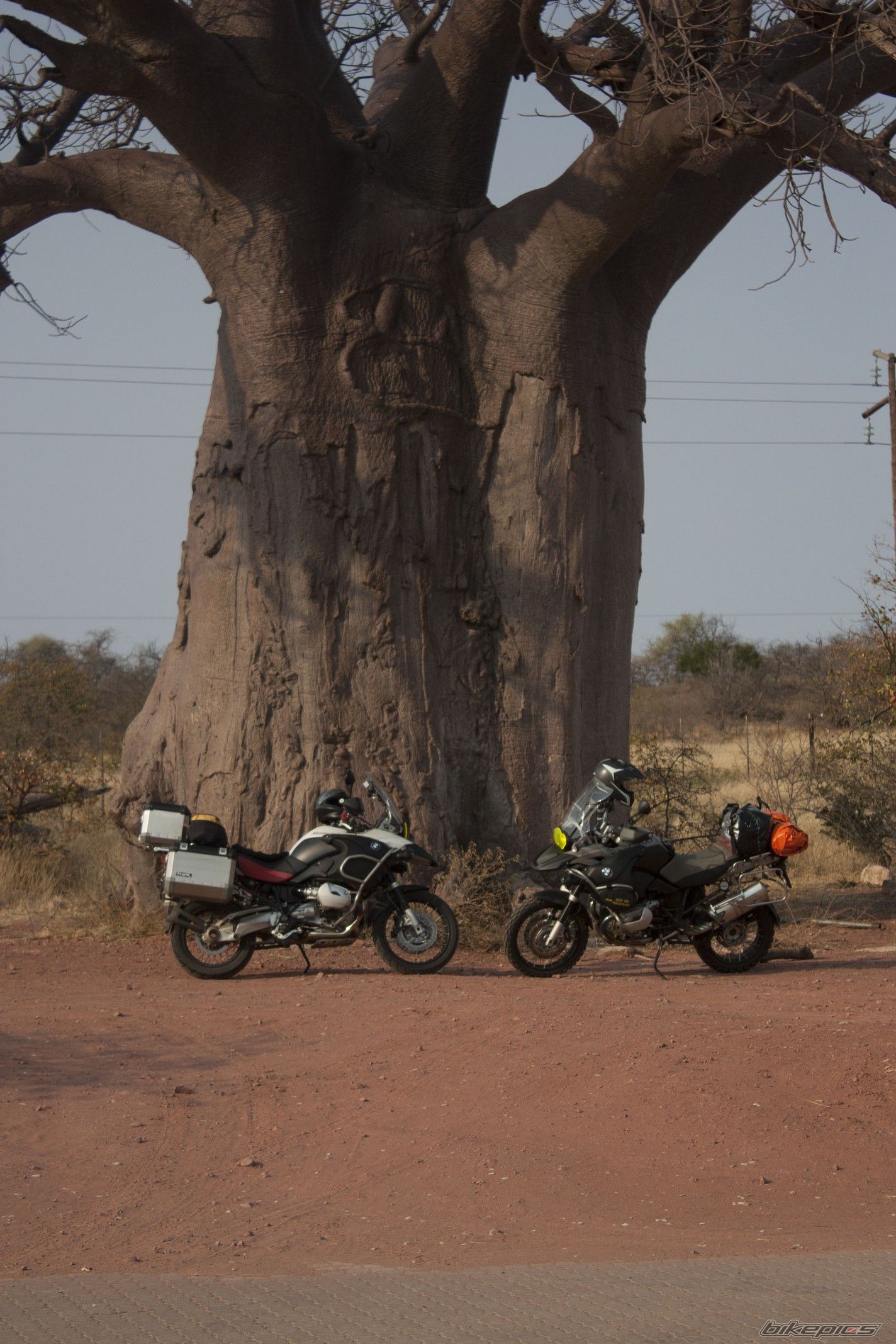 2006 BMW R 1200 GS ADVENTURE | Picture 2181573 motorcycle photo