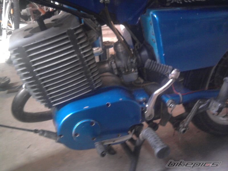 1983 MZ ETZ 250 | Picture 2181873 motorcycle photo