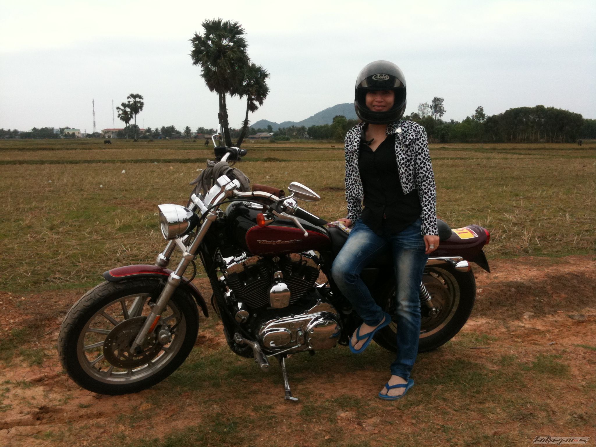 2006 HARLEY DAVIDSON XL 1200 C | Picture 2182045 motorcycle photo