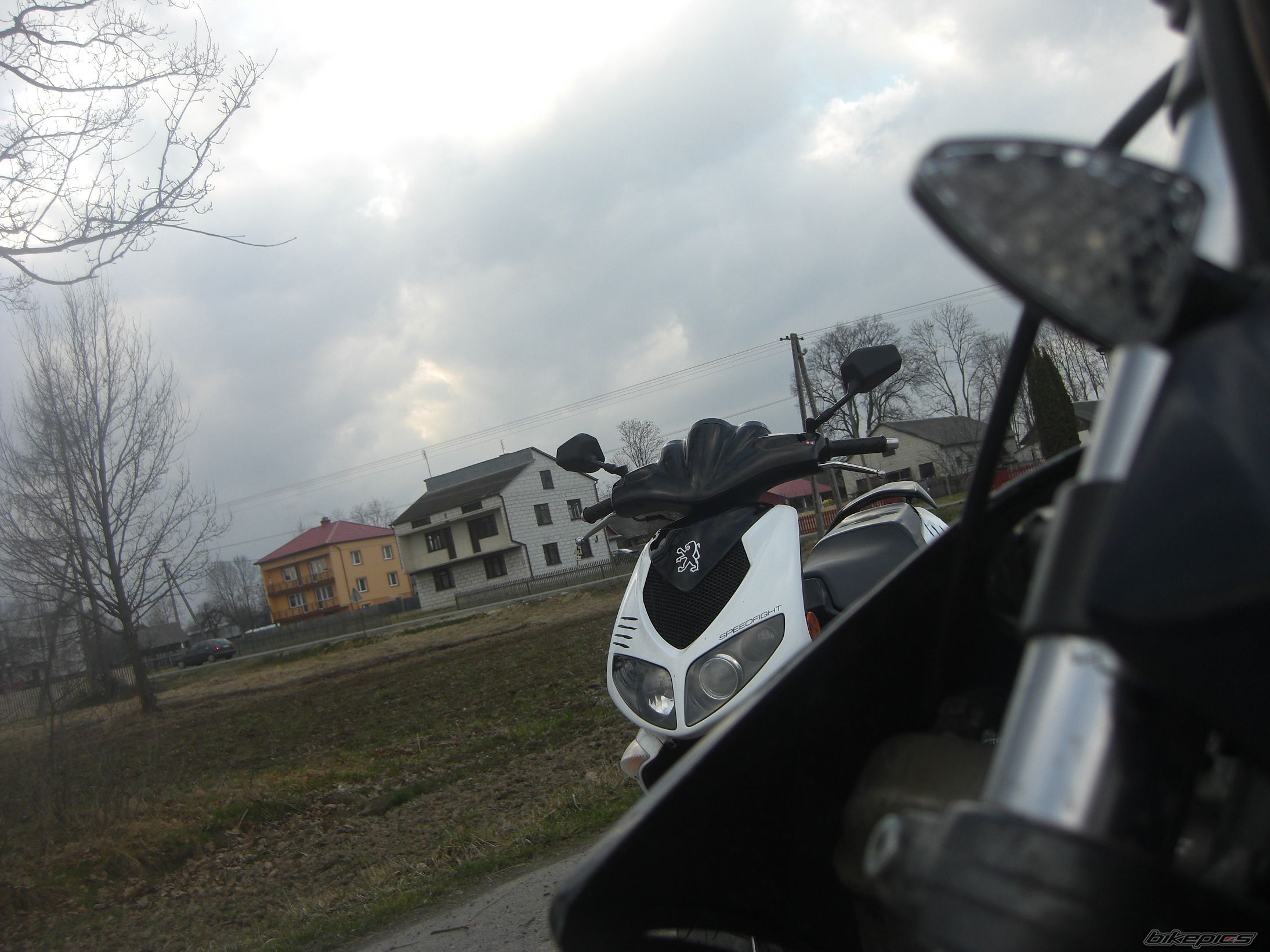 2008 PEUGEOT SPEEDFIGHT2 50 | Picture 2182345 motorcycle photo