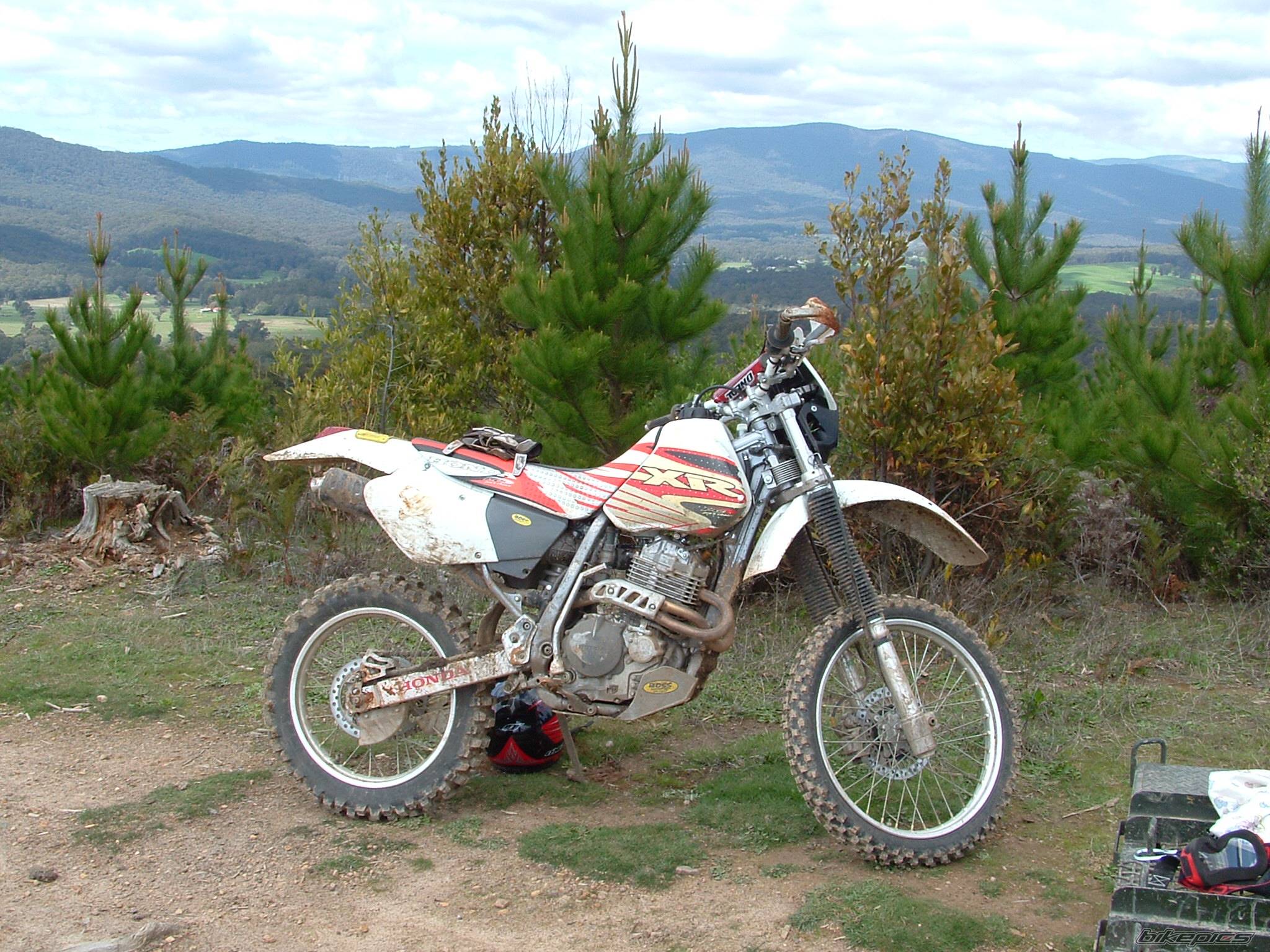 1998 HONDA XR 400 | Picture 218263 motorcycle photo