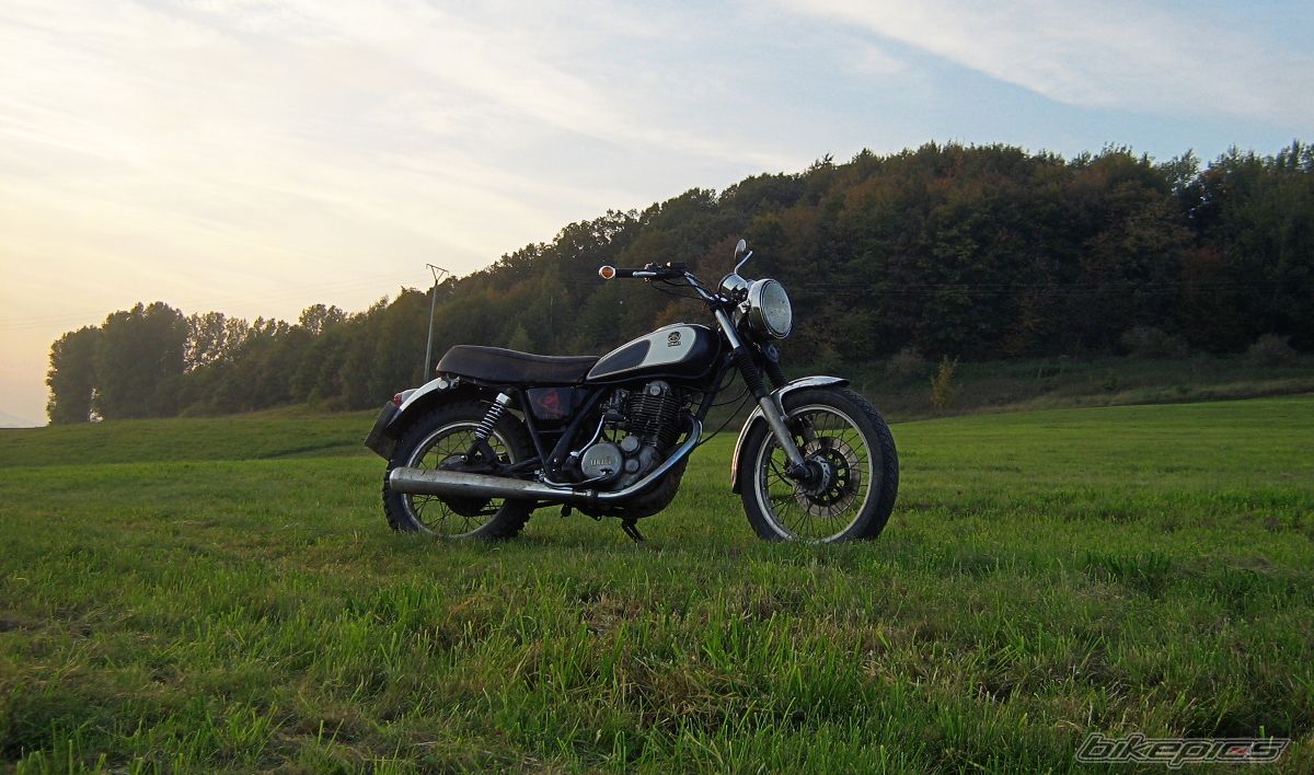 1982 YAMAHA SR 500 | Picture 2182923 motorcycle photo