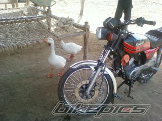 2011 KAWASAKI GTO 125 | Picture 2183748 motorcycle photo