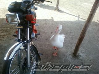 2011 KAWASAKI GTO 125 | Picture 2183750 motorcycle photo