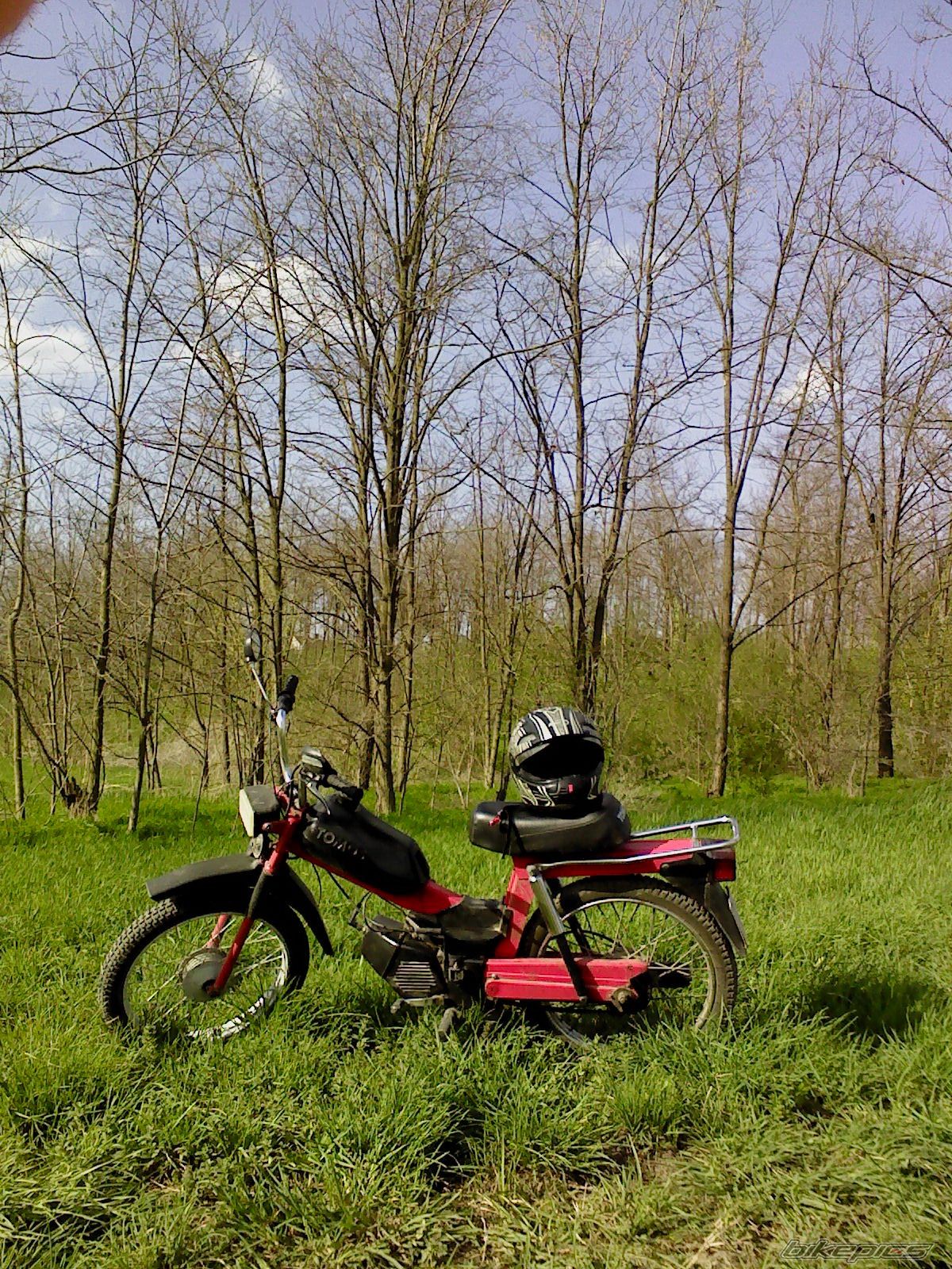 1983 TOMOS APN 6 | Picture 2185136 motorcycle photo