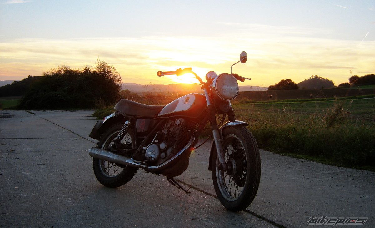 1982 YAMAHA SR 500 | Picture 2185453 motorcycle photo