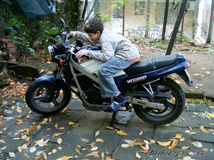 1988 HONDA VTZ 250 | Picture 218582 motorcycle photo