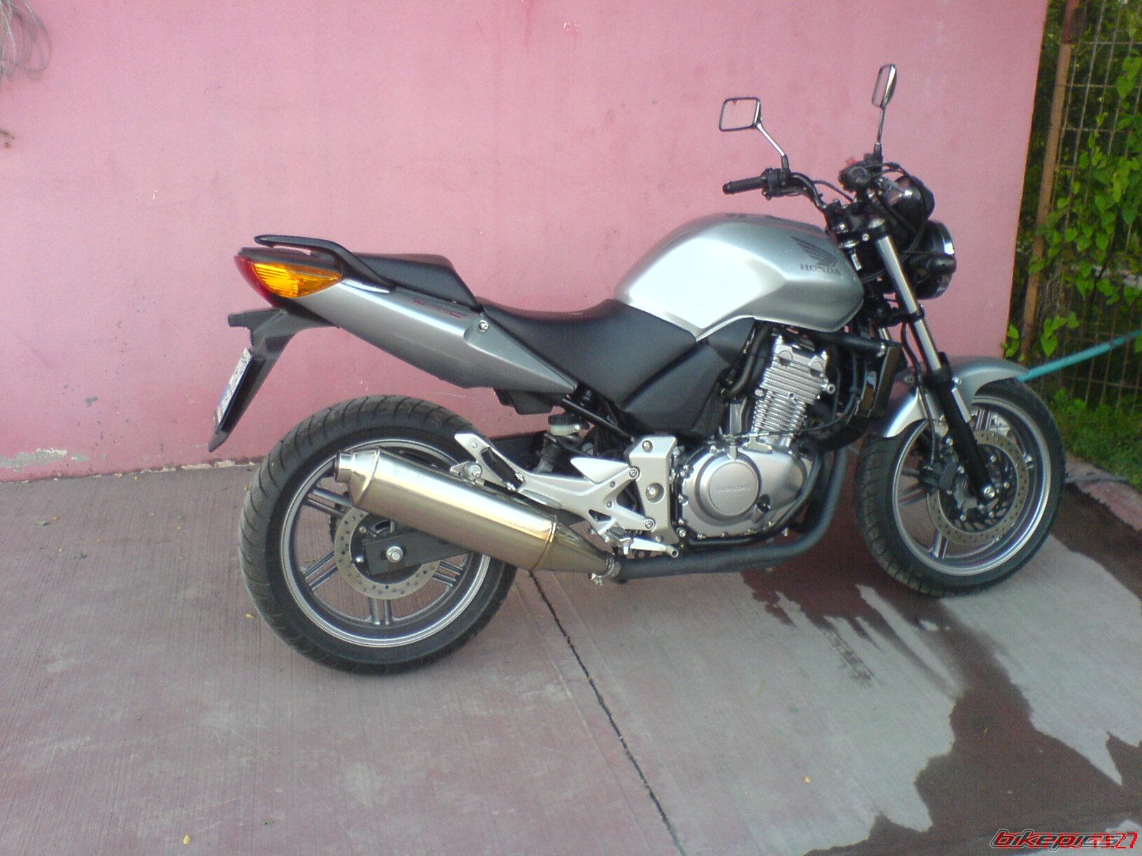 2006 HONDA CBF 500 | Picture 2185851 motorcycle photo