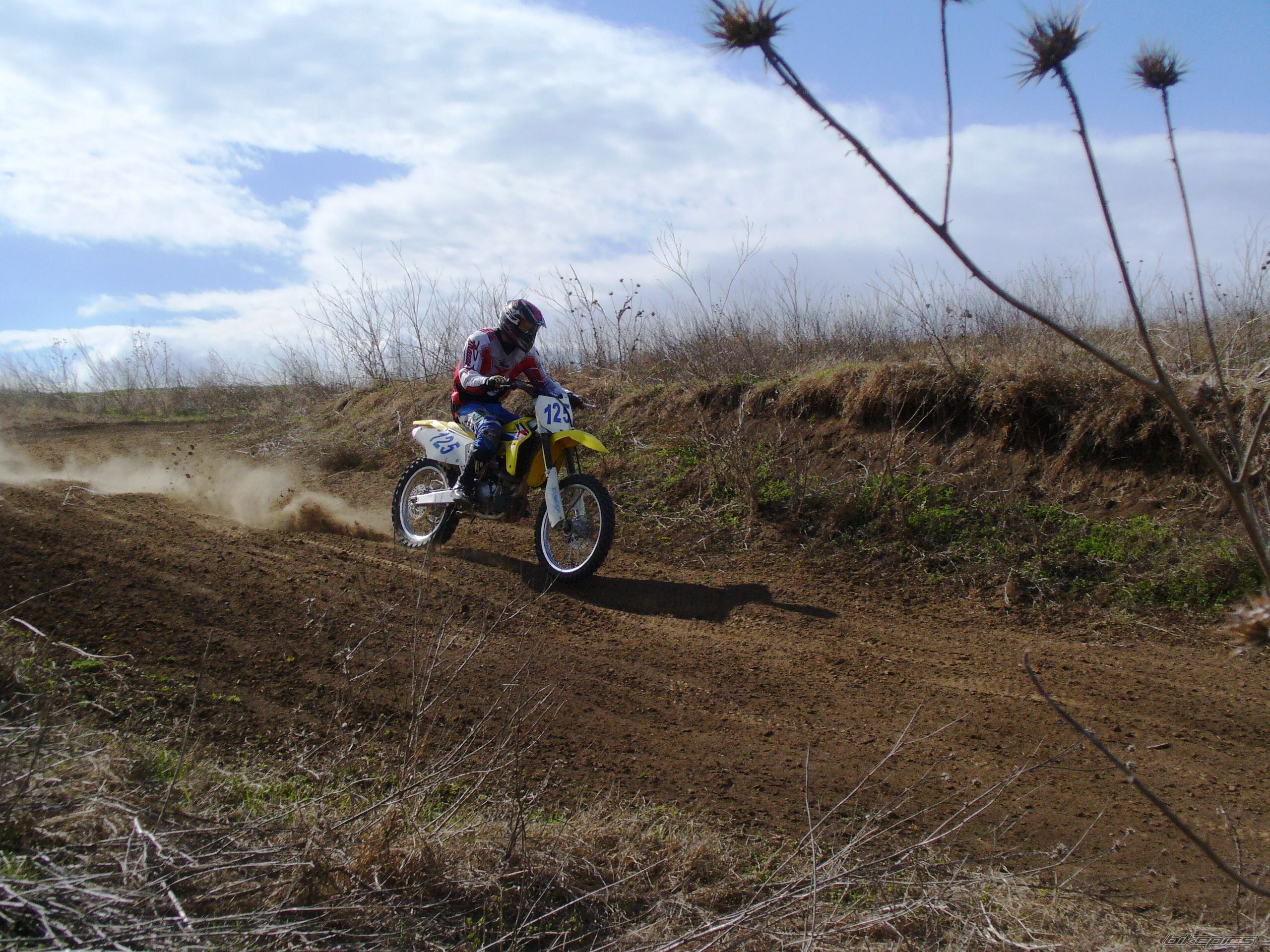 2006 SUZUKI RM 450Z | Picture 2186205 motorcycle photo