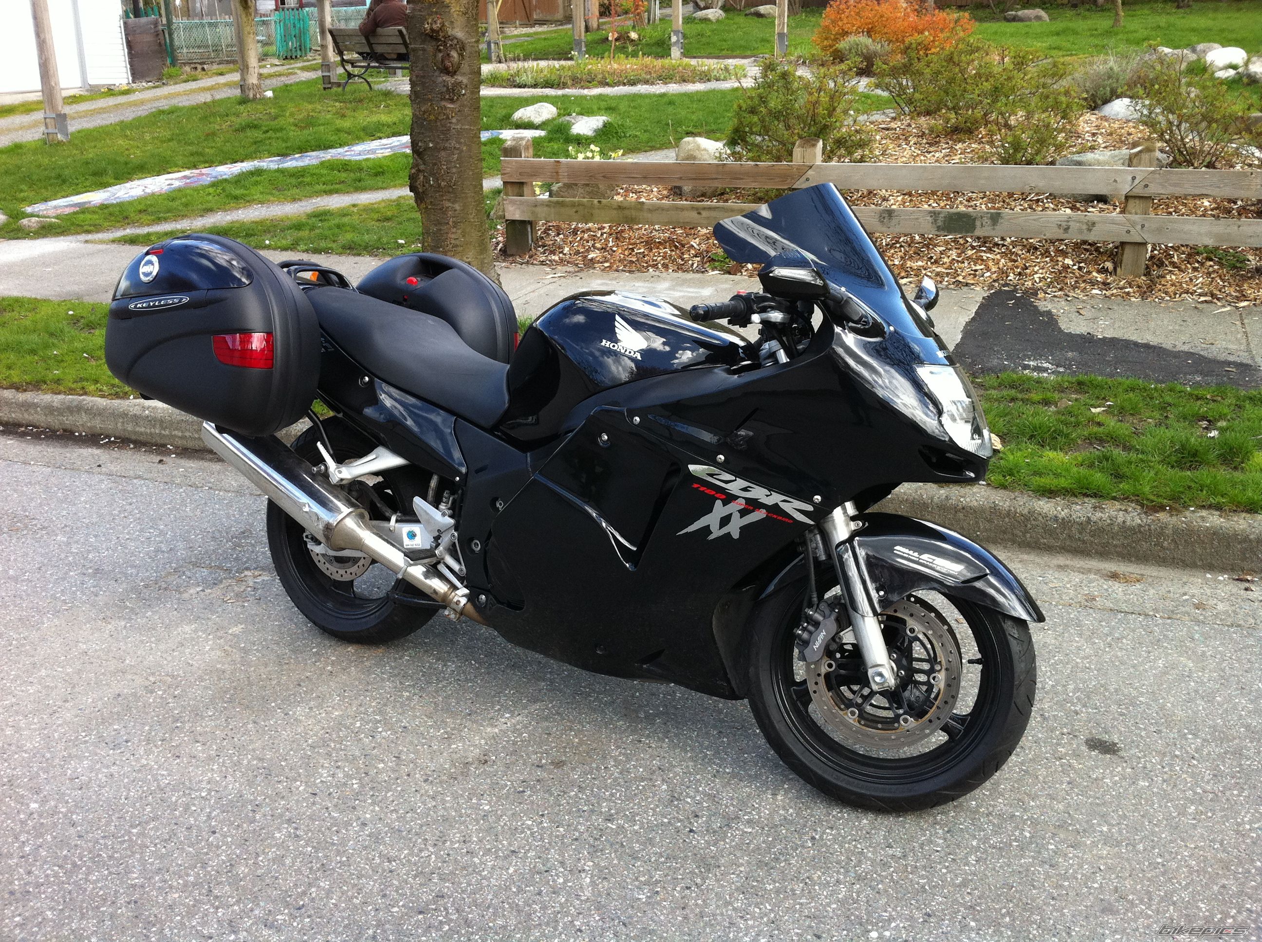 1998 HONDA CBR 1100 BLACKBIRD | Picture 2186301 motorcycle photo