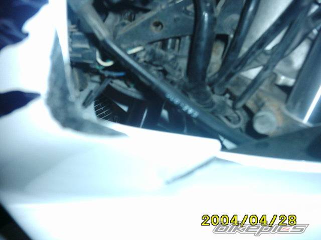 1992 HONDA CBR 250 | Picture 218645 motorcycle photo