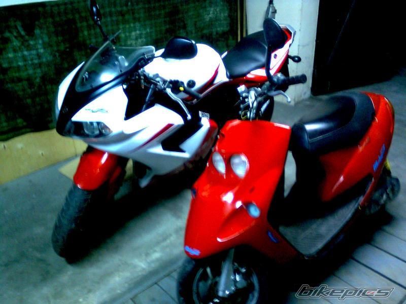 2007 YAMAHA TZR 50 | Picture 2186700 motorcycle photo