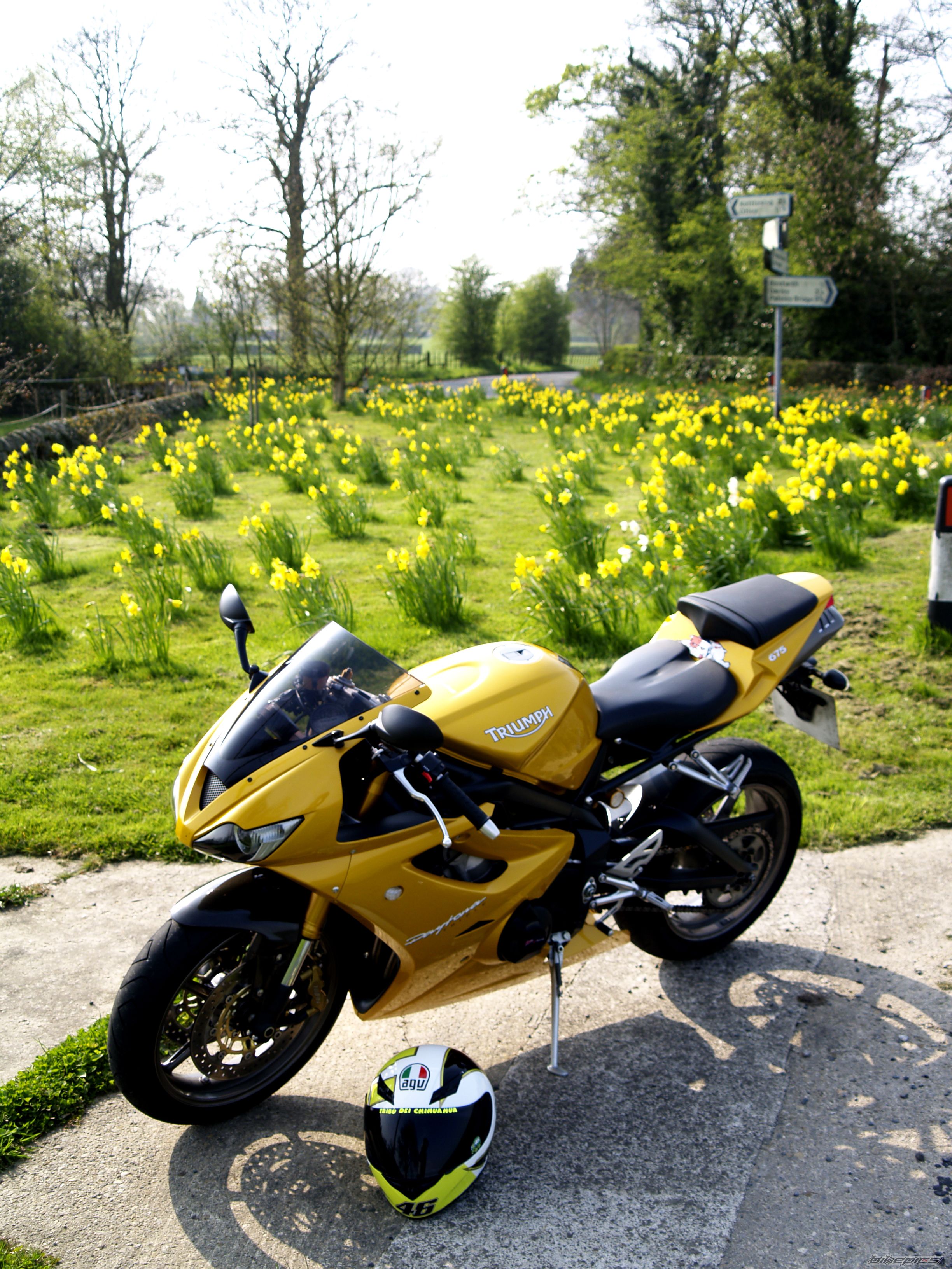 2007 TRIUMPH DAYTONA 675 | Picture 2186719 motorcycle photo