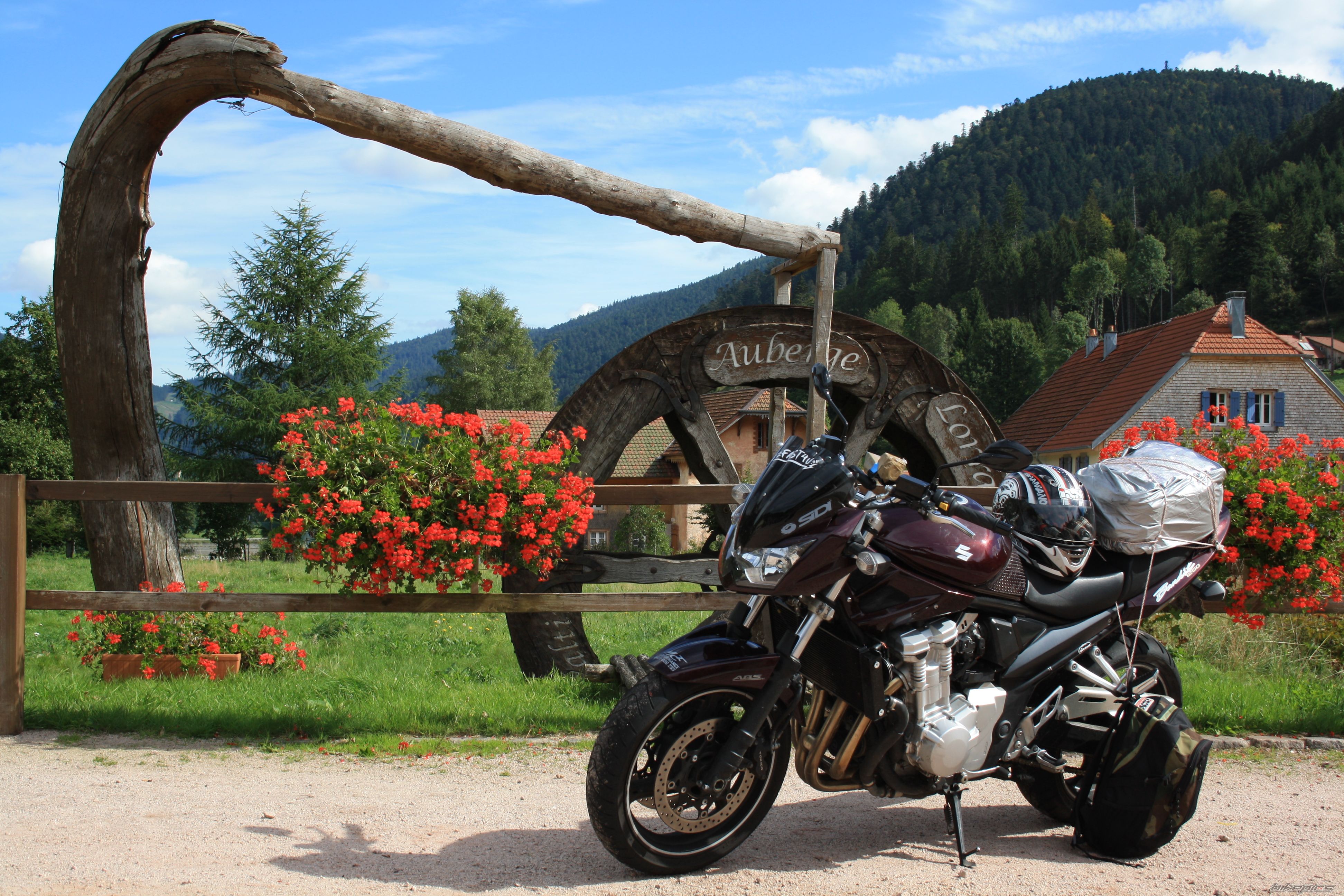 2009 SUZUKI BANDIT 1250 N | Picture 2186939 motorcycle photo