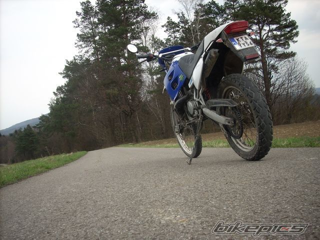 1999 DERBI SENDA R 50 | Picture 2187170 motorcycle photo