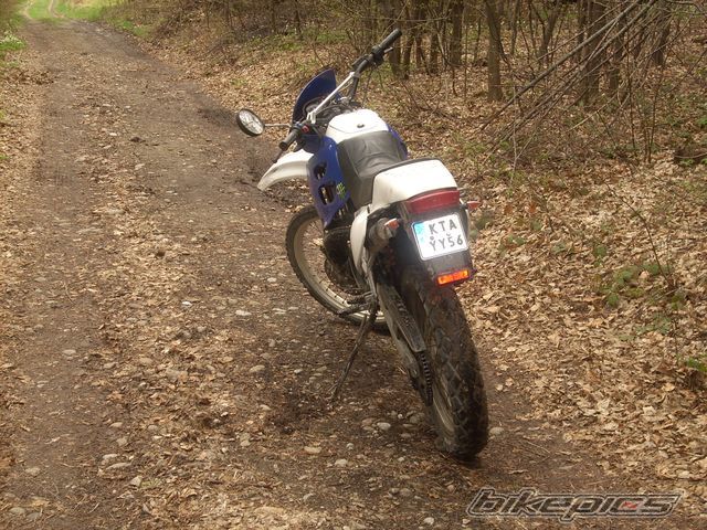 1999 DERBI SENDA R 50 | Picture 2187171 motorcycle photo
