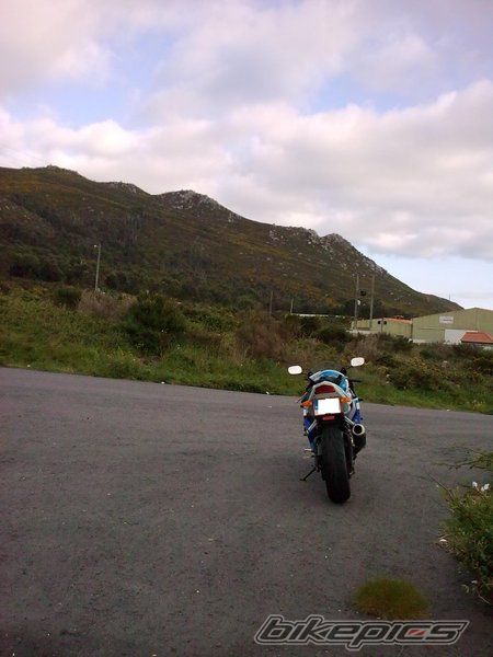 2005 SUZUKI GSX R 600 | Picture 2188142 motorcycle photo