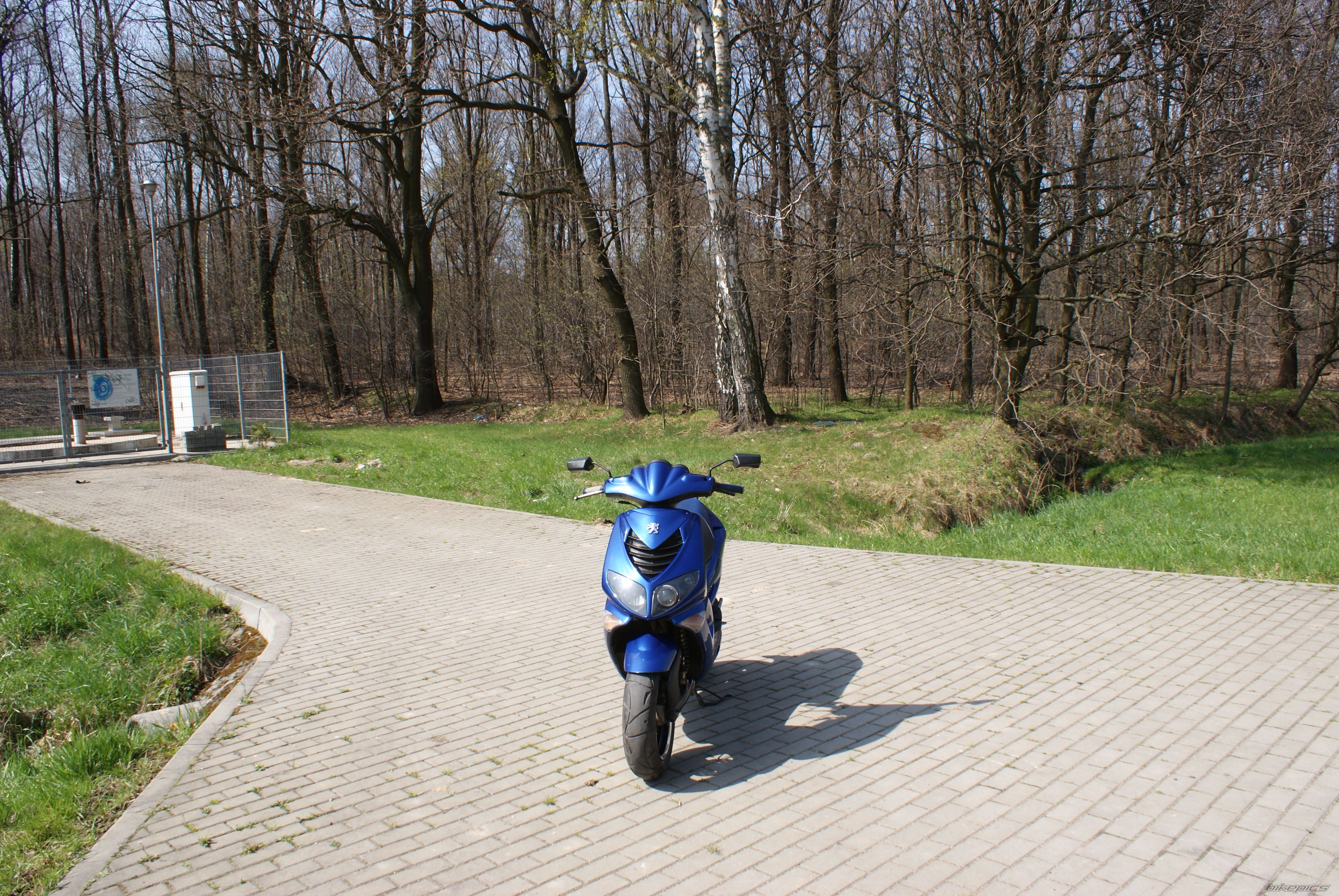 2003 PEUGEOT SPEEDFIGHT2 50 | Picture 2188945 motorcycle photo