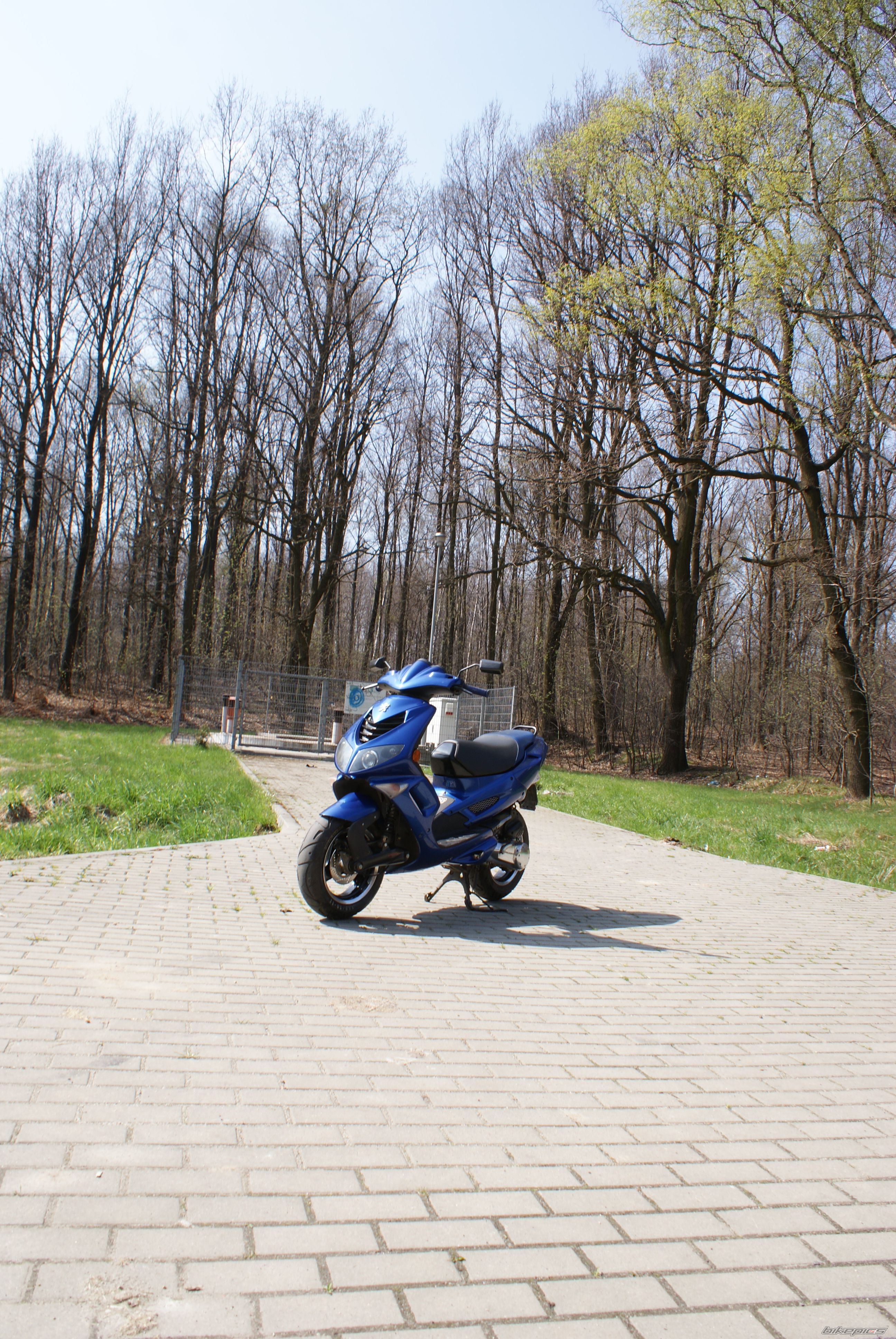 2003 PEUGEOT SPEEDFIGHT2 50 | Picture 2188948 motorcycle photo